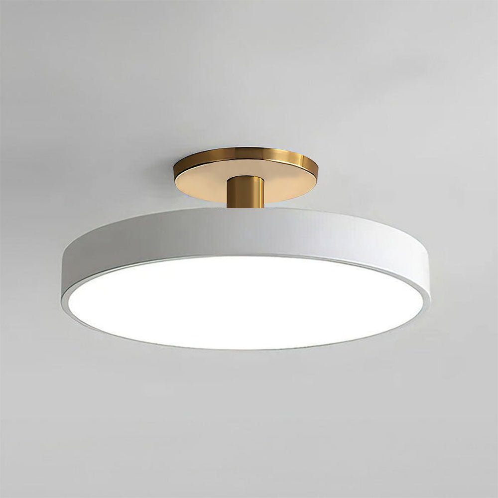 Metal Frame Round Ceiling Light, 12-Inch Diameter Flush Mount