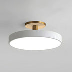 Metal Frame Round Ceiling Light, 12-Inch Diameter Flush Mount