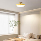 Metal Frame Round Ceiling Light, 12-Inch Diameter Flush Mount