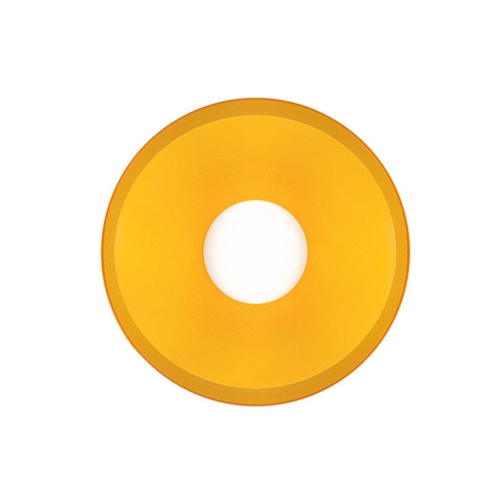 12-Inch Circular Ceiling Light With Translucent Shade Flush Mount