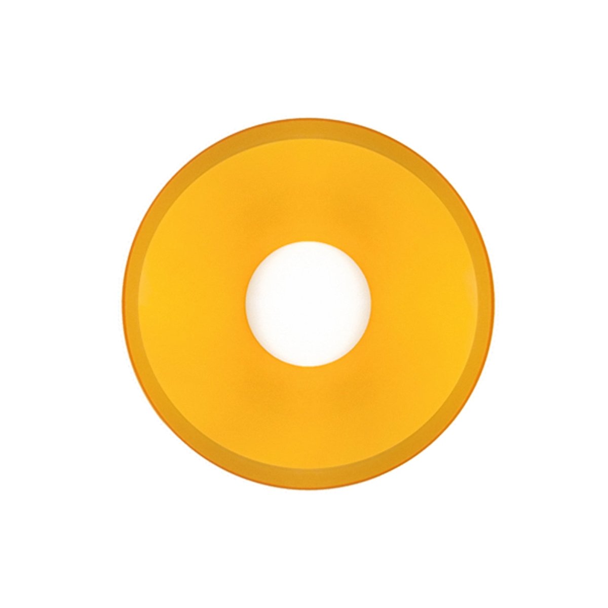 12-Inch Circular Ceiling Light With Translucent Shade Flush Mount
