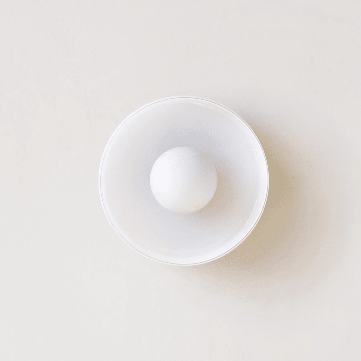 12-Inch Circular Ceiling Light With Translucent Shade Flush Mount