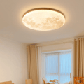 12-Inch Round White Ceiling LED Light Fixture For Living Spaces