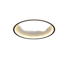 Circular Ceiling LED Fixture With Diffuser Ring 12 Inch Diameter