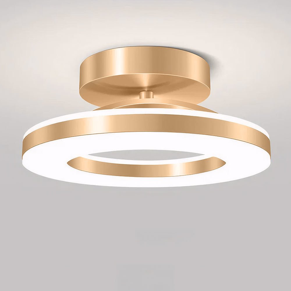 12-Inch Round LED Ceiling Light Flush Mount Fixture For Living Rooms