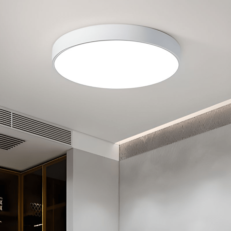 12-Inch Round Metal Ceiling Light With Flush Mount Design