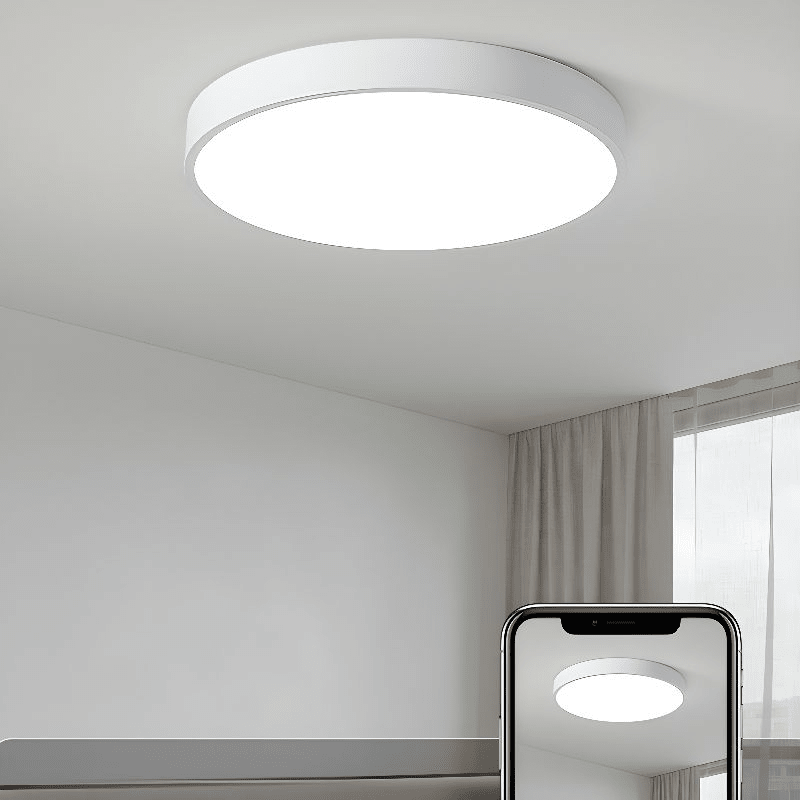 12-Inch Round Metal Ceiling Light With Flush Mount Design