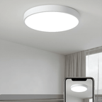 12-Inch Round Metal Ceiling Light With Flush Mount Design