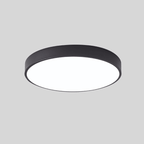 12-Inch Round Metal Ceiling Light With Flush Mount Design