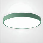 12-Inch Round Metal Ceiling Light With Flush Mount Design