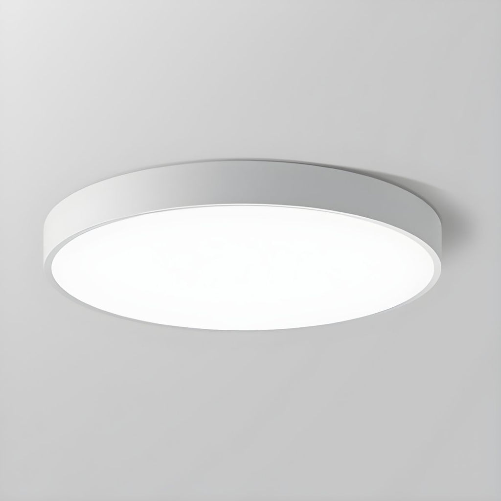 12-Inch Round Metal Ceiling Light With Flush Mount Design