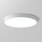 12-Inch Round Metal Ceiling Light With Flush Mount Design