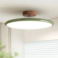 Ceiling LED Light With Metal Frame 12-Inch Diameter Fixture