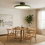 Ceiling LED Light With Metal Frame 12-Inch Diameter Fixture