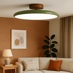Ceiling LED Light With Metal Frame 12-Inch Diameter Fixture