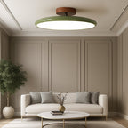 Ceiling LED Light With Metal Frame 12-Inch Diameter Fixture