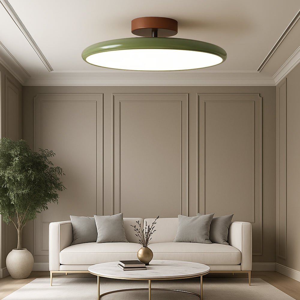 Ceiling LED Light With Metal Frame 12-Inch Diameter Fixture