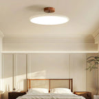 Ceiling LED Light With Metal Frame 12-Inch Diameter Fixture