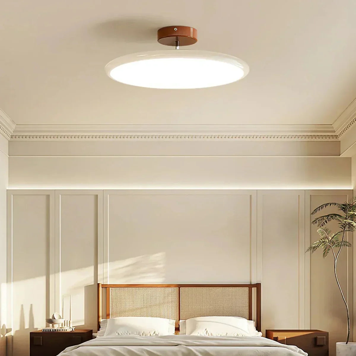 Ceiling LED Light With Metal Frame 12-Inch Diameter Fixture