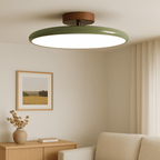 Ceiling LED Light With Metal Frame 12-Inch Diameter Fixture