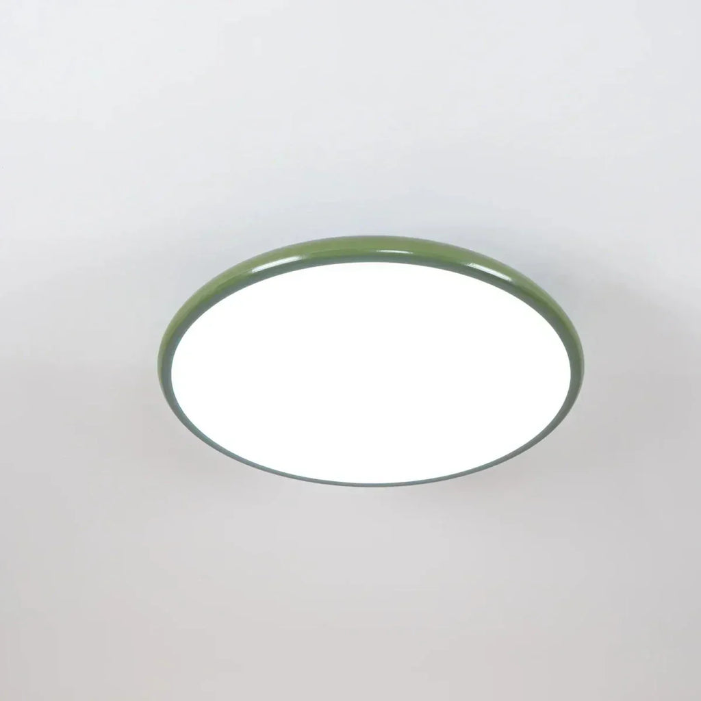 Ceiling LED Light With Metal Frame 12-Inch Diameter Fixture