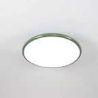 Ceiling LED Light With Metal Frame 12-Inch Diameter Fixture