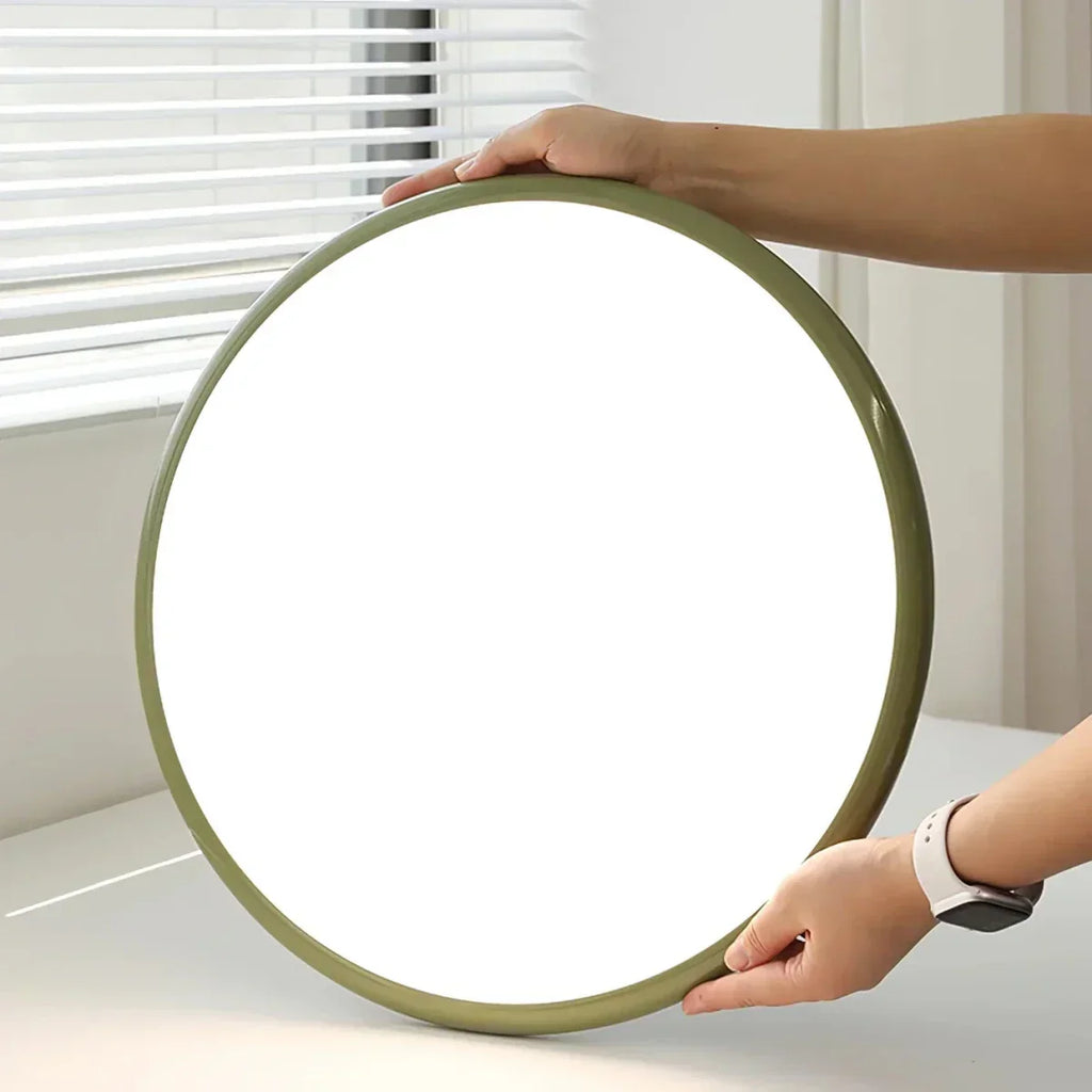 Ceiling LED Light With Metal Frame 12-Inch Diameter Fixture
