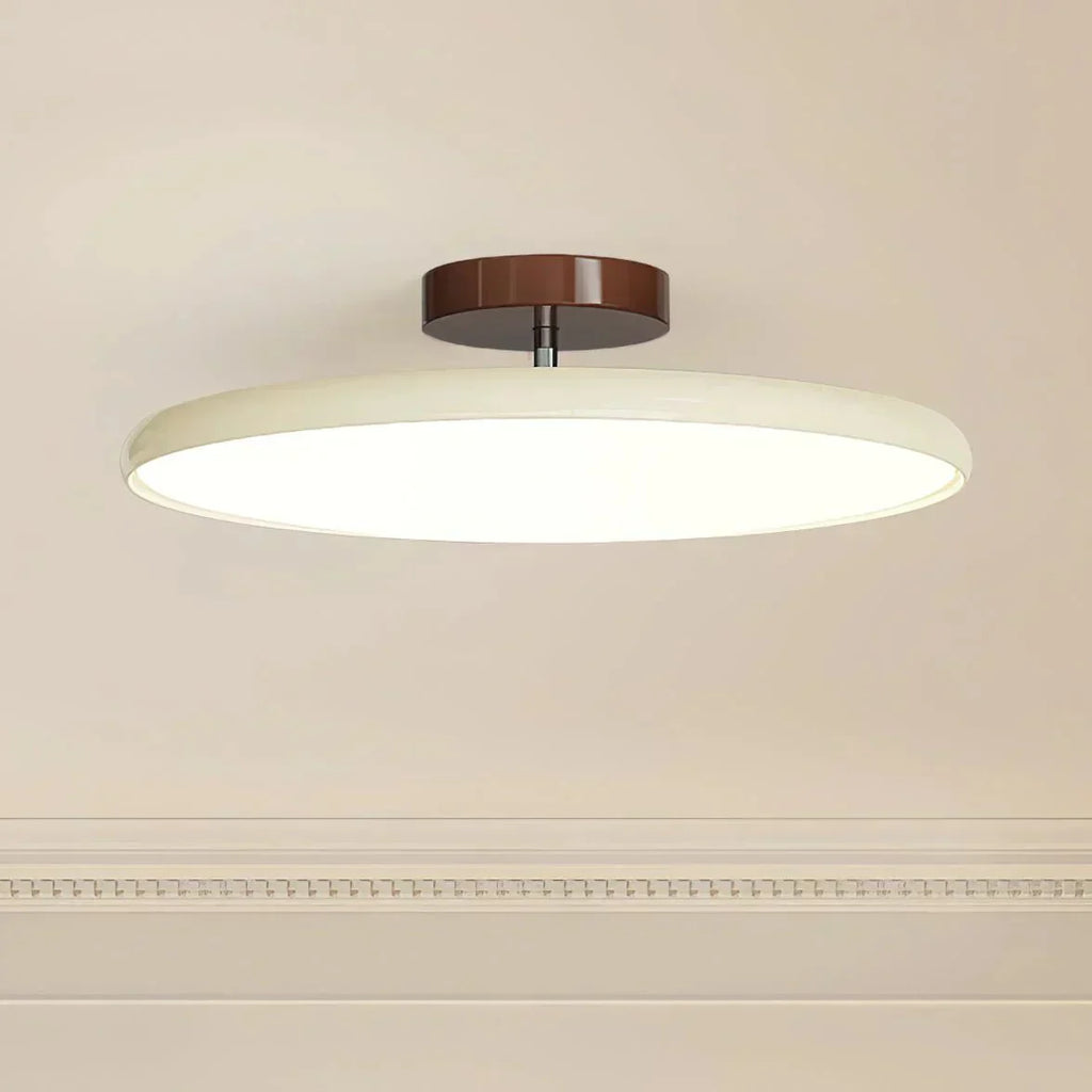 Ceiling LED Light With Metal Frame 12-Inch Diameter Fixture