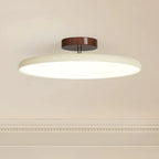 Ceiling LED Light With Metal Frame 12-Inch Diameter Fixture