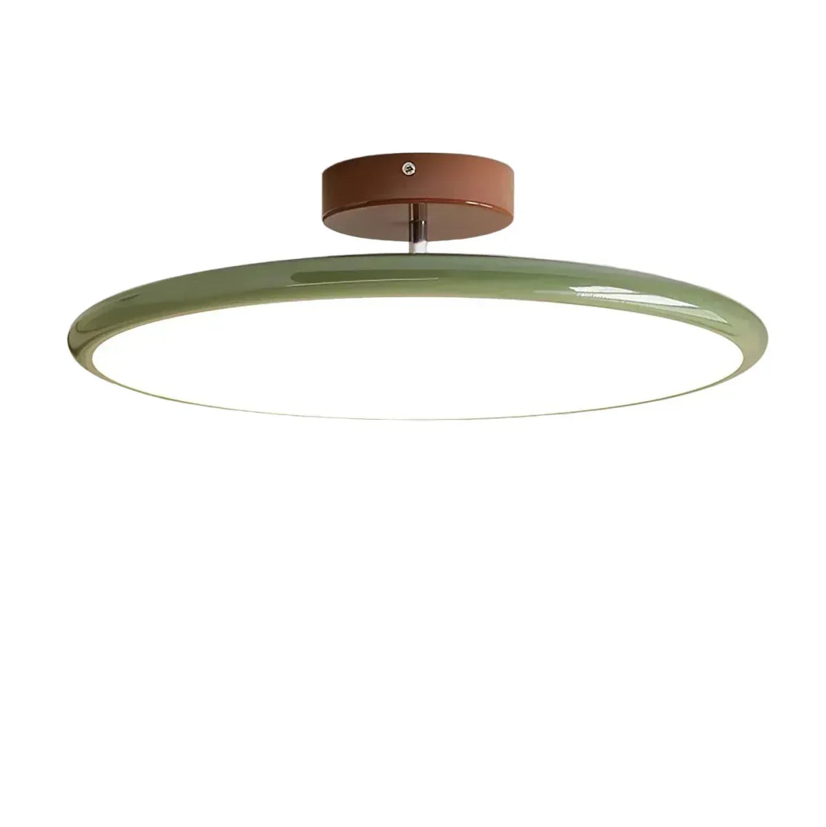 Ceiling LED Light With Metal Frame 12-Inch Diameter Fixture