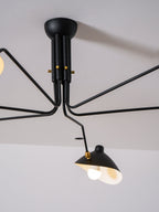 Multi-arm spider ceiling light in a contemporary living space