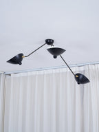 Multi-arm spider ceiling light shown straight on