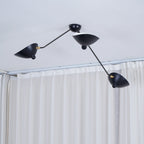 Multi-arm ceiling light against a clean white background