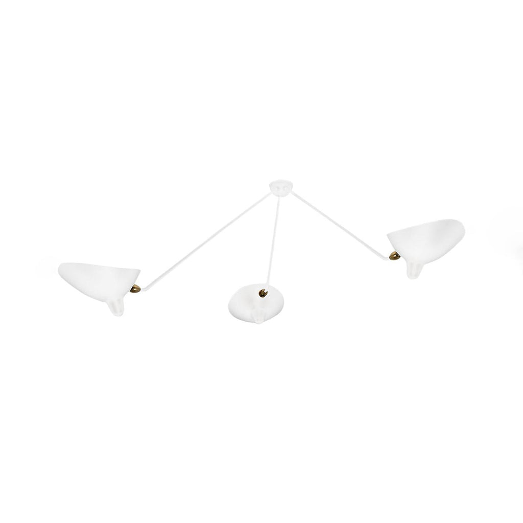 Spider ceiling lamp arms and brass joints shown in detail