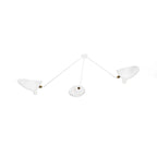 Spider ceiling lamp arms and brass joints shown in detail
