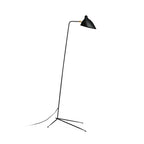 Spider Floor Lamp, Sculptural Black Metal Arm, E26/E27, Plug-In