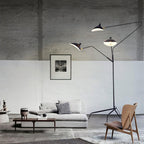 Spider Floor Lamp, Sculptural Black Metal Arm, E26/E27, Plug-In