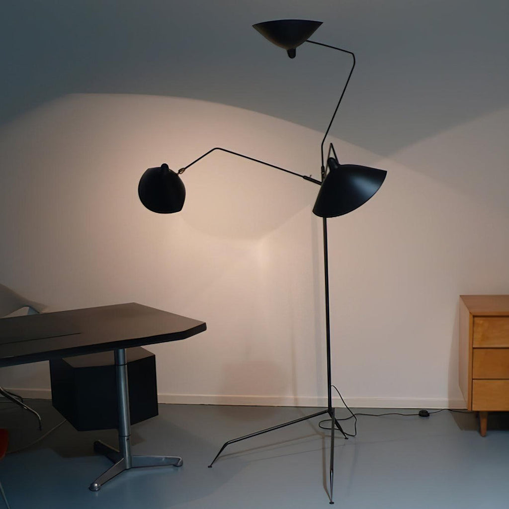 Spider Floor Lamp, Sculptural Black Metal Arm, E26/E27, Plug-In