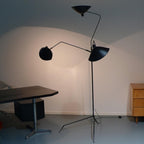 Spider Floor Lamp, Sculptural Black Metal Arm, E26/E27, Plug-In