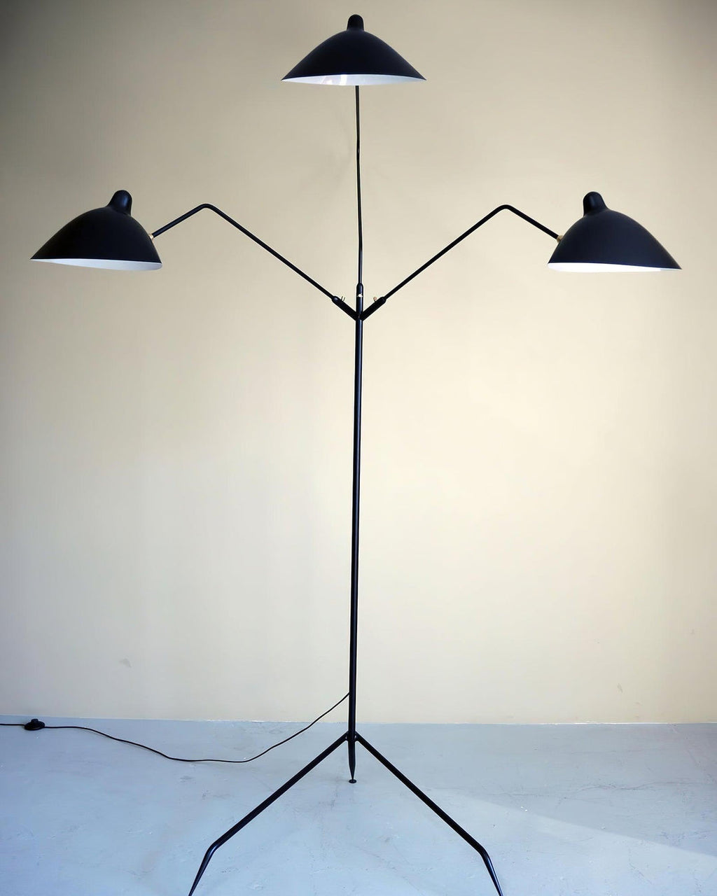 Spider Floor Lamp, Sculptural Black Metal Arm, E26/E27, Plug-In