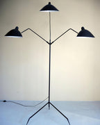 Spider Floor Lamp, Sculptural Black Metal Arm, E26/E27, Plug-In