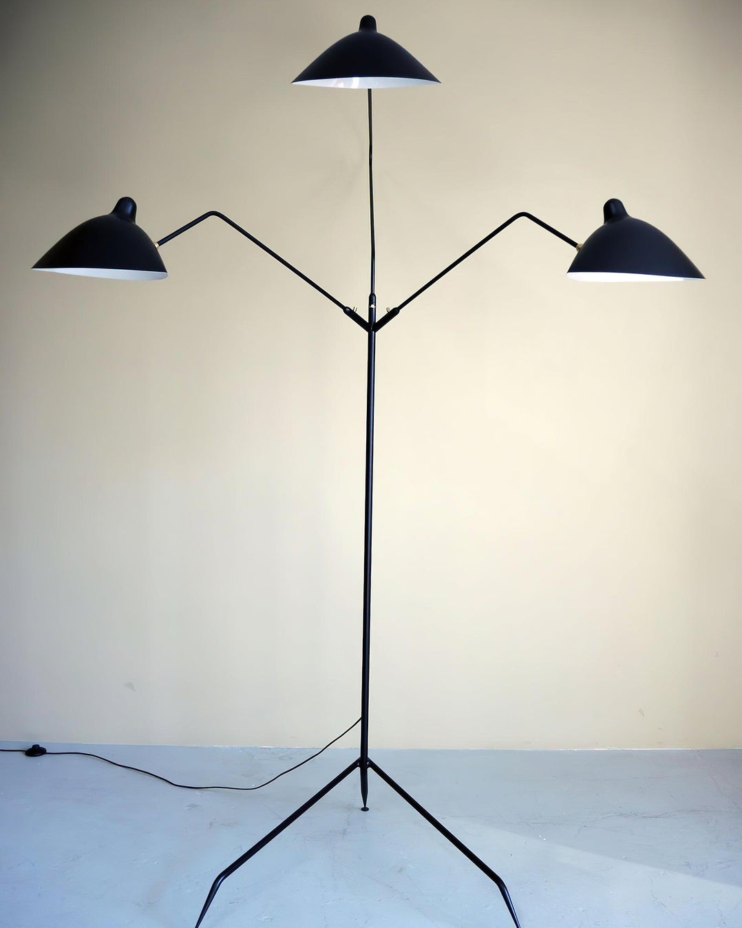 Spider Floor Lamp, Sculptural Black Metal Arm, E26/E27, Plug-In