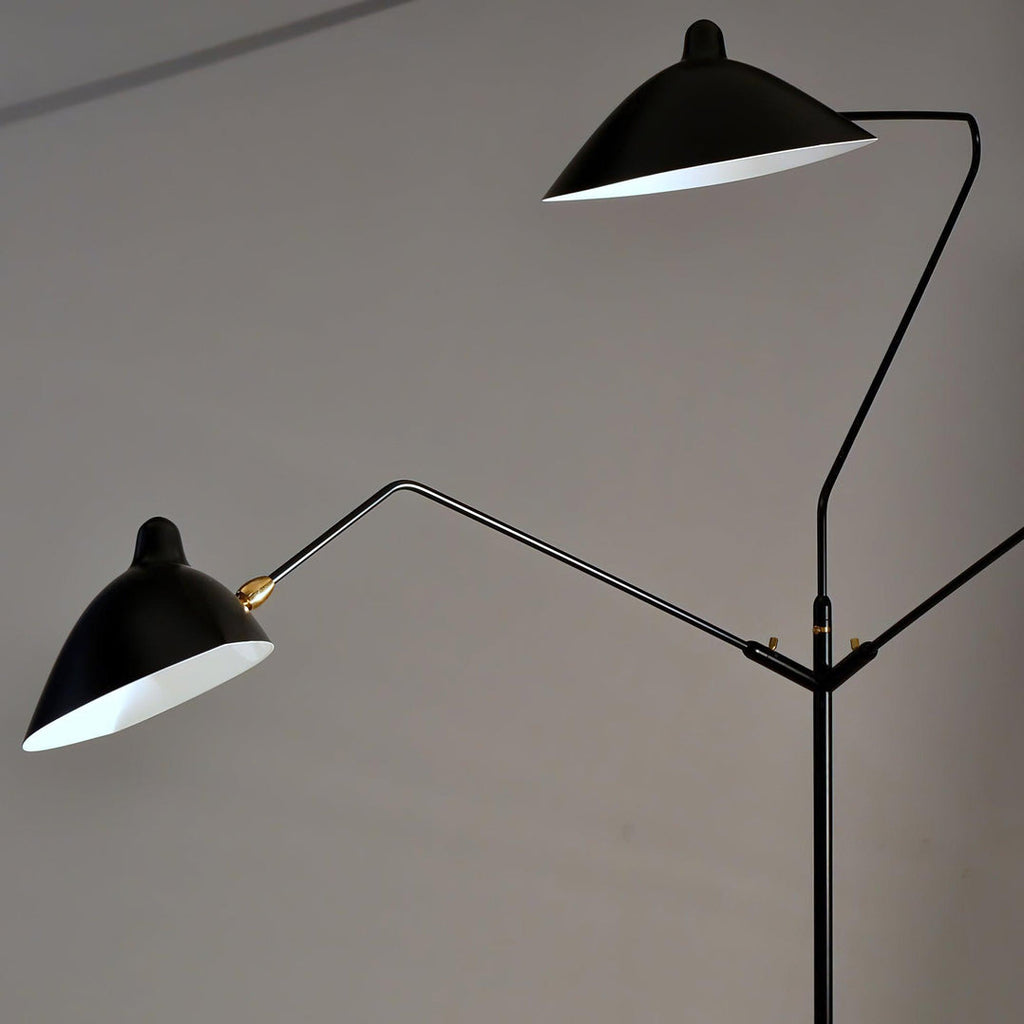 Spider Floor Lamp, Sculptural Black Metal Arm, E26/E27, Plug-In