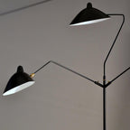 Spider Floor Lamp, Sculptural Black Metal Arm, E26/E27, Plug-In
