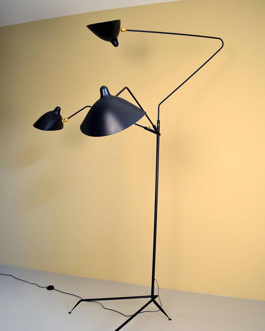 Spider Floor Lamp, Sculptural Black Metal Arm, E26/E27, Plug-In