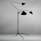 Spider Floor Lamp, Sculptural Black Metal Arm, E26/E27, Plug-In