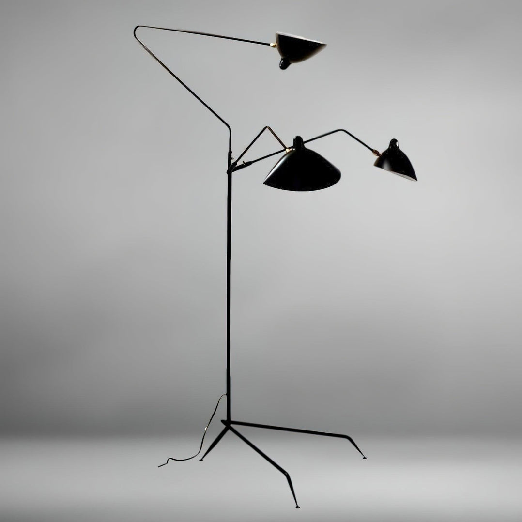 Spider Floor Lamp, Sculptural Black Metal Arm, E26/E27, Plug-In