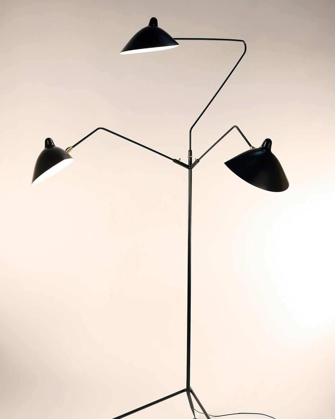 Spider Floor Lamp, Sculptural Black Metal Arm, E26/E27, Plug-In
