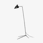 Spider Floor Lamp, Sculptural Black Metal Arm, E26/E27, Plug-In