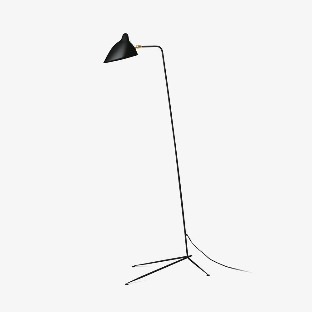 Spider Floor Lamp, Sculptural Black Metal Arm, E26/E27, Plug-In